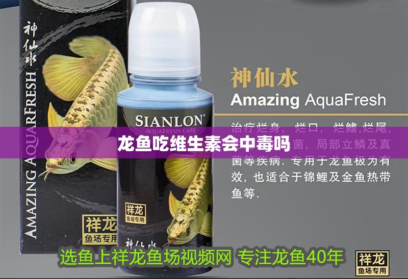 龍魚吃維生素會中毒嗎