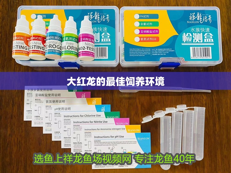 大紅龍的最佳飼養環境