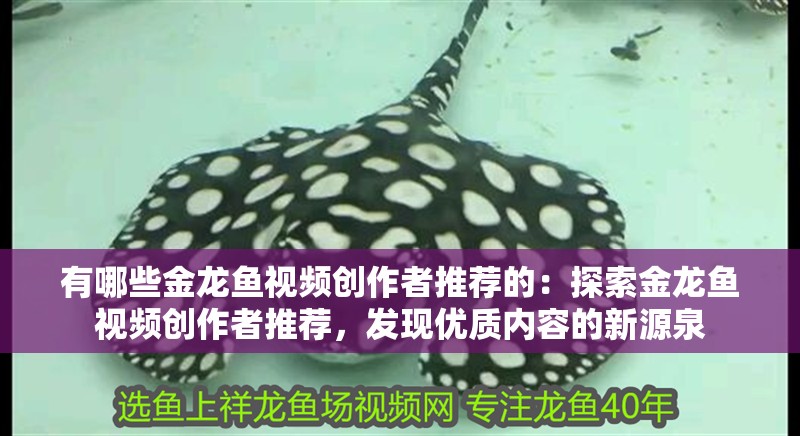 有哪些金龍魚視頻創(chuàng)作者推薦的：探索金龍魚視頻創(chuàng)作者推薦，發(fā)現(xiàn)優(yōu)質(zhì)內(nèi)容的新源泉