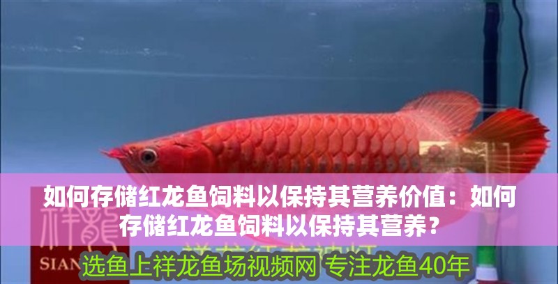 如何存儲紅龍魚飼料以保持其營養價值：如何存儲紅龍魚飼料以保持其營養？