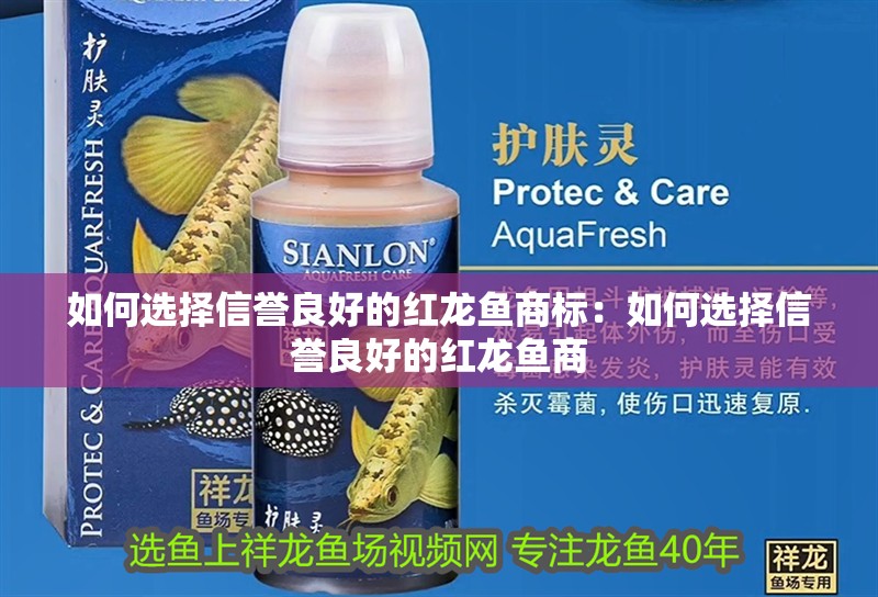 如何選擇信譽(yù)良好的紅龍魚商標(biāo)：如何選擇信譽(yù)良好的紅龍魚商