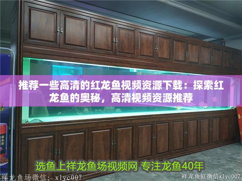 推薦一些高清的紅龍魚視頻資源下載：探索紅龍魚的奧秘，高清視頻資源推薦