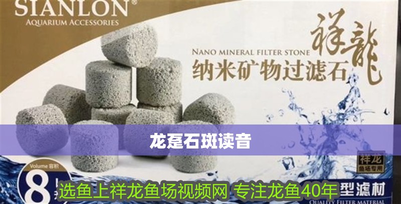 龍躉石斑讀音