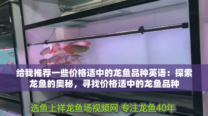 給我推薦一些價格適中的龍魚品種英語：探索龍魚的奧秘，尋找價格適中的龍魚品種