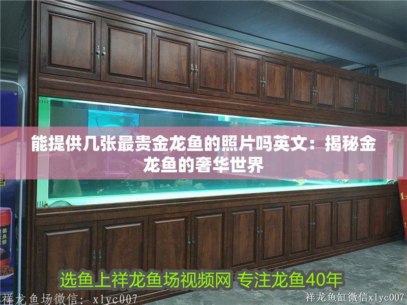 能提供幾張最貴金龍魚的照片嗎英文：揭秘金龍魚的奢華世界