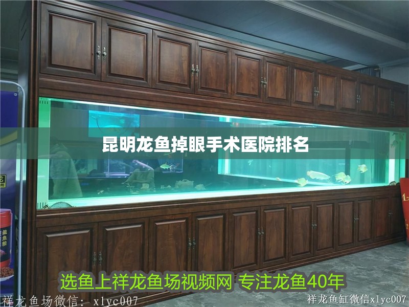 <strong><mark>昆明</mark></strong>龍魚掉眼手術(shù)醫(yī)院排名