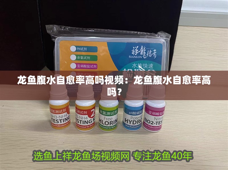 龍魚腹水自愈率高嗎視頻：龍魚腹水自愈率高嗎？