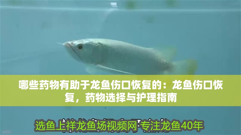 哪些藥物有助于龍魚傷口恢復的：龍魚傷口恢復，藥物選擇與護理指南