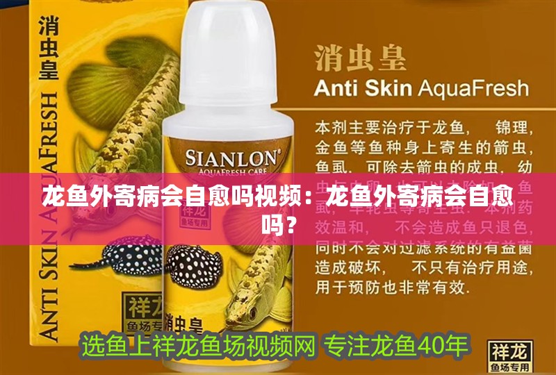 龍魚外寄病會自愈嗎視頻：龍魚外寄病會自愈嗎？