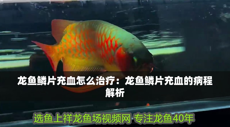 魚缸用增氧泵價格是多少:魚缸增氧機-xtrac增氧機-xtrac增氧機 龍魚鱗片充血怎么治療:龍魚鱗片充血的病程解析 水族問答 龍魚鱗片充血怎么治療:龍魚鱗片充血的病程解析 龍魚鱗片充血怎么治療:龍魚鱗片充血的病程解析 水族問答