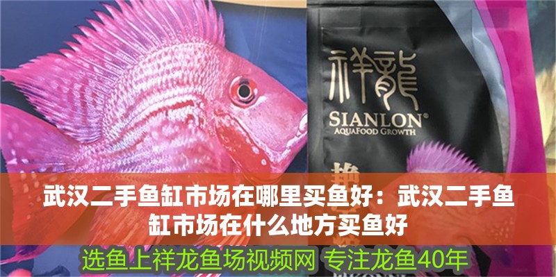 武漢二手魚(yú)缸市場(chǎng)在哪里買魚(yú)好：武漢二手魚(yú)缸市場(chǎng)在什么地方買魚(yú)好 武漢二手魚(yú)缸市場(chǎng)在哪里買魚(yú)好：武漢二手魚(yú)缸市場(chǎng)在什么地方買魚(yú)好 魚(yú)缸百科