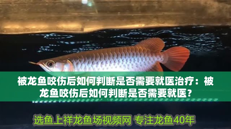 被龍魚咬傷后如何判斷是否需要就醫治療：被龍魚咬傷后如何判斷是否需要就醫？
