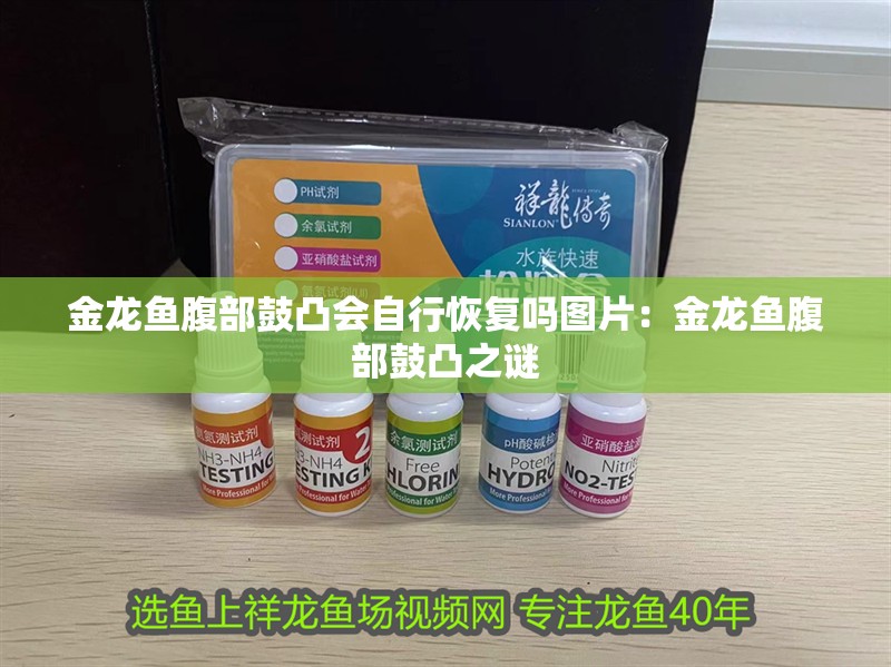 金龍魚腹部鼓凸會自行恢復嗎圖片：金龍魚腹部鼓凸之謎
