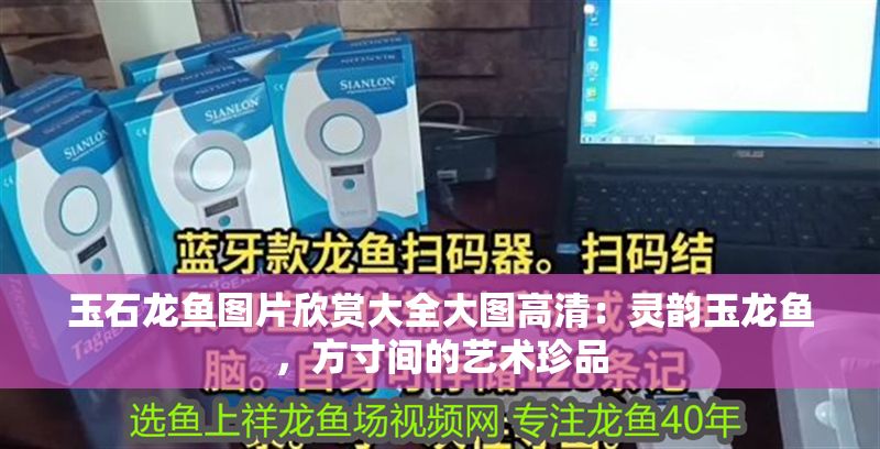 玉石龍魚圖片欣賞大全大圖高清：靈韻玉龍魚，方寸間的藝術(shù)珍品