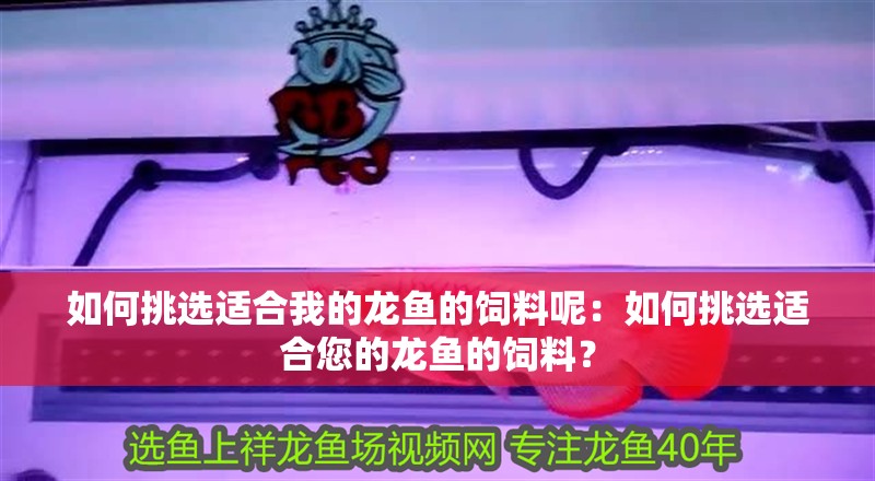 如何挑選適合我的龍魚的飼料呢：如何挑選適合您的龍魚的飼料？