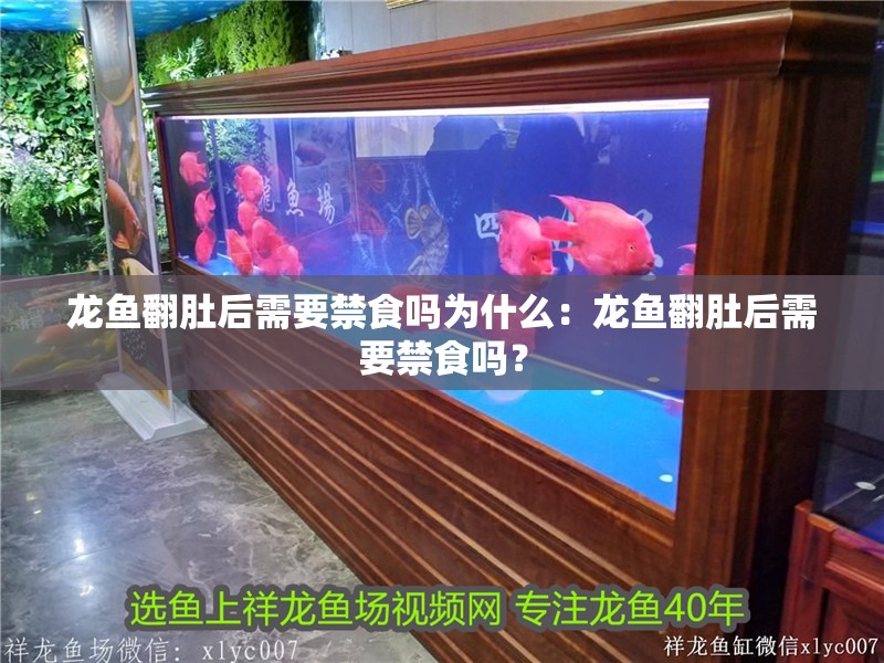 龍魚翻肚后需要禁食嗎為什么：龍魚翻肚后需要禁食嗎？