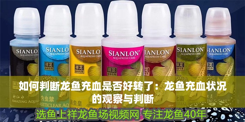 如何判斷龍魚充血是否好轉了：龍魚充血狀況的觀察與判斷