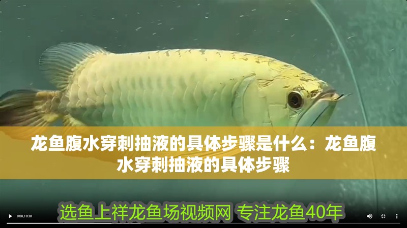 龍魚腹水穿刺抽液的具體步驟是什么：龍魚腹水穿刺抽液的具體步驟