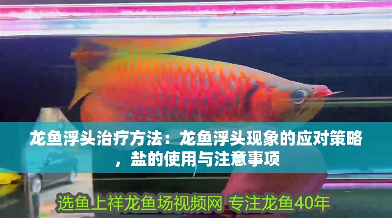 龍魚浮頭治療方法：龍魚浮頭現象的應對策略，鹽的使用與注意事項