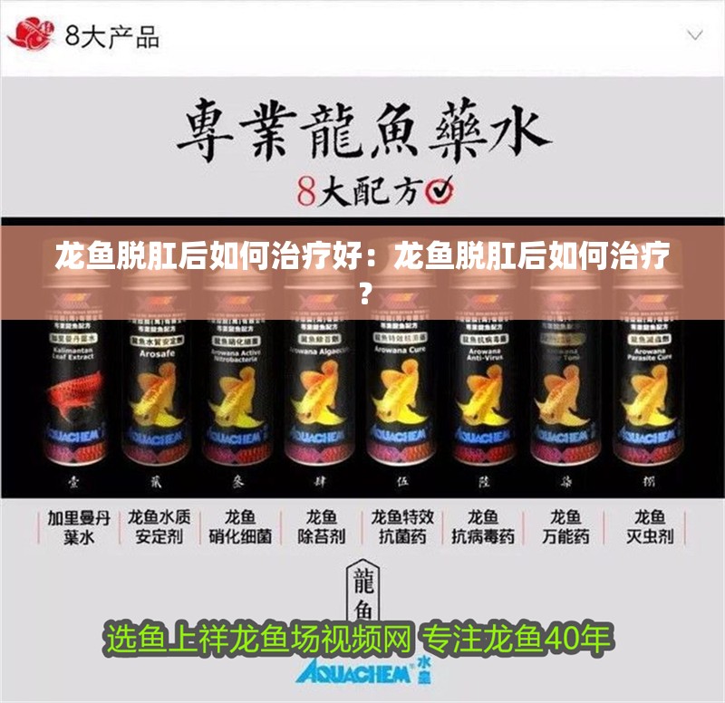 龍魚脫肛后如何治療好：龍魚脫肛后如何治療？