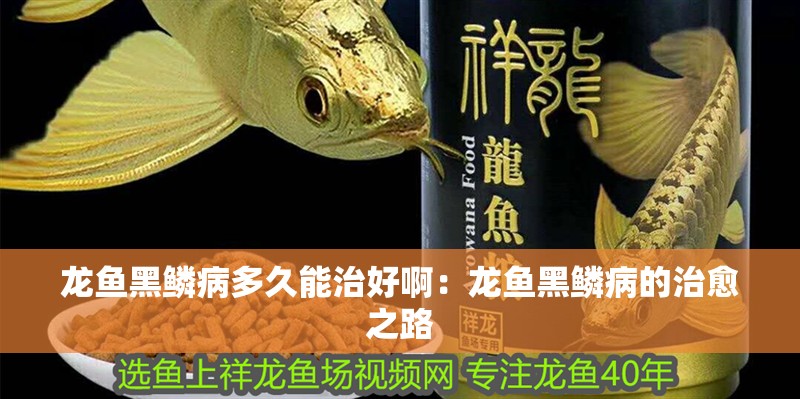 龍魚黑鱗病多久能治好啊：龍魚黑鱗病的治愈之路