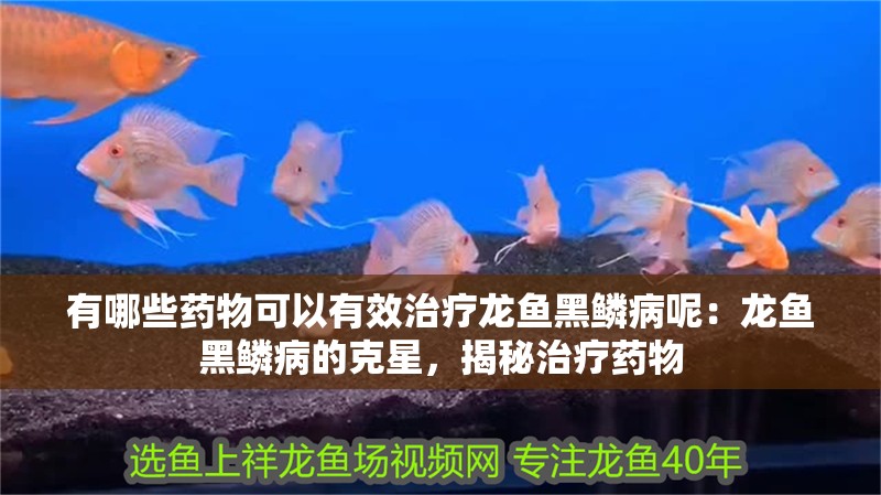 有哪些藥物可以有效治療龍魚黑鱗病呢：龍魚黑鱗病的克星，揭秘治療藥物