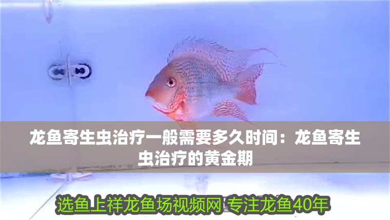 龍魚寄生蟲治療一般需要多久時間：龍魚寄生蟲治療的黃金期