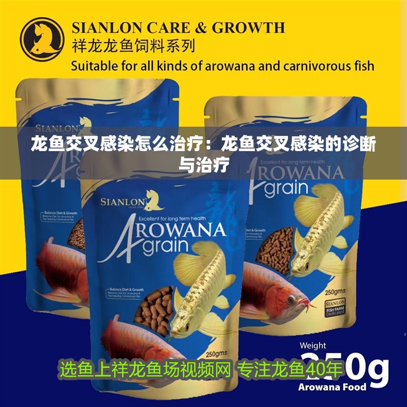 龍魚交叉感染怎么治療：龍魚交叉感染的診斷與治療 龍魚交叉感染怎么治療：龍魚交叉感染的診斷與治療 水族問答