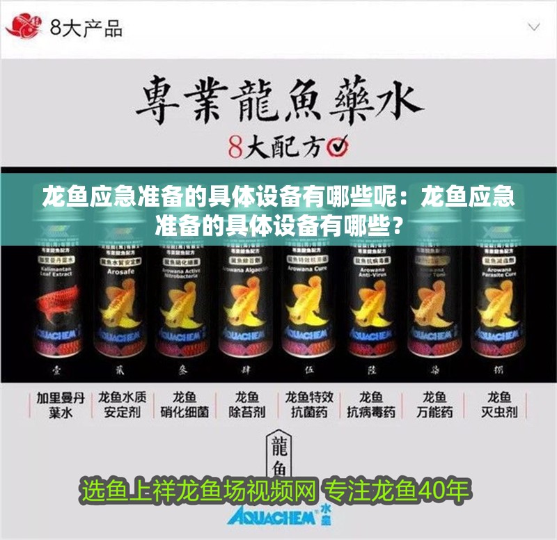 龍魚應急準備的具體設備有哪些呢：龍魚應急準備的具體設備有哪些？