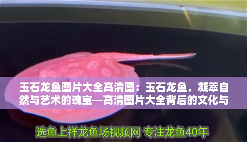 玉石龍魚圖片大全高清圖：玉石龍魚，凝萃自然與藝術(shù)的瑰寶—高清圖片大全背后的文化與魅力