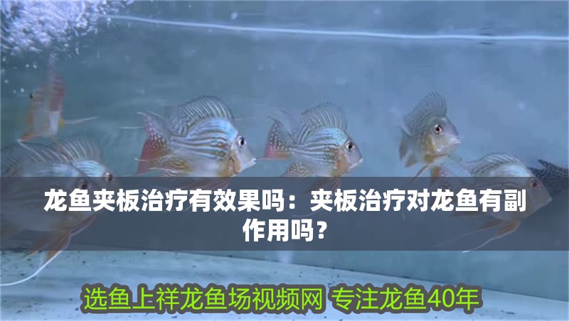 龍魚夾板治療有效果嗎：夾板治療對龍魚有副作用嗎？