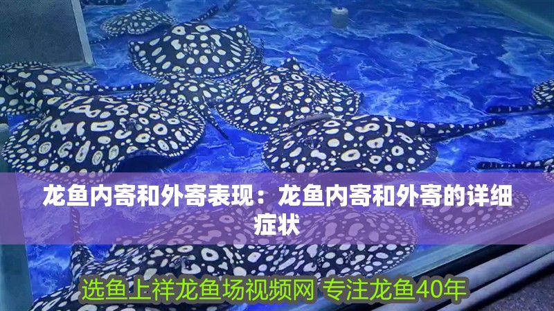 龍魚內(nèi)寄和外寄表現(xiàn)：龍魚內(nèi)寄和外寄的詳細(xì)癥狀