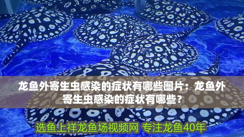 龍魚外寄生蟲感染的癥狀有哪些圖片：龍魚外寄生蟲感染的癥狀有哪些？