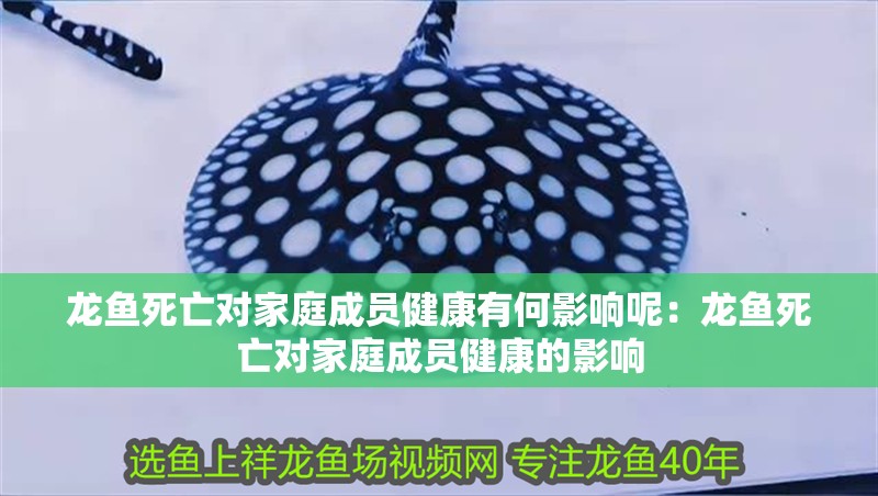 龍魚死亡對家庭成員健康有何影響呢：龍魚死亡對家庭成員健康的影響
