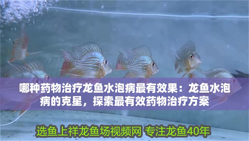 哪種藥物治療龍魚水泡病最有效果：龍魚水泡病的克星，探索最有效藥物治療方案