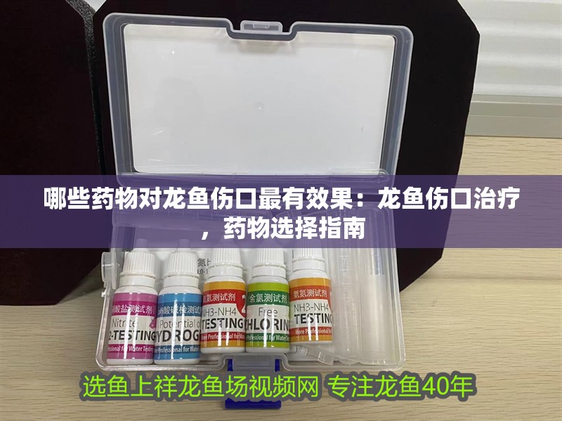 哪些藥物對龍魚傷口最有效果：龍魚傷口治療，藥物選擇指南