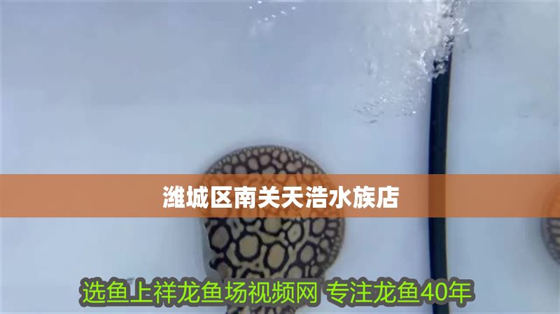 濰城區南關天浩水族店