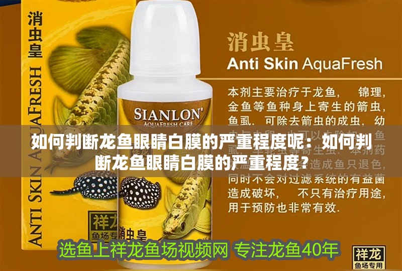 如何判斷龍魚眼睛白膜的嚴重程度呢：如何判斷龍魚眼睛白膜的嚴重程度？