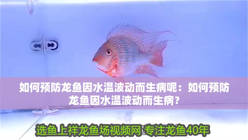 如何預(yù)防龍魚因水溫波動而生病呢：如何預(yù)防龍魚因水溫波動而生??？