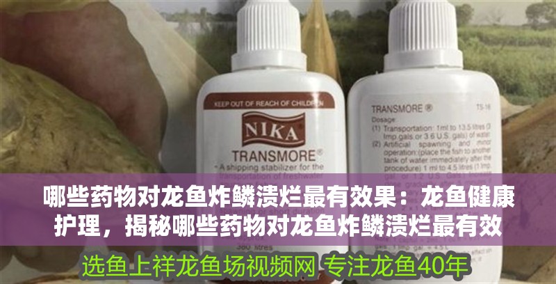 哪些藥物對龍魚炸鱗潰爛最有效果：龍魚健康護理，揭秘哪些藥物對龍魚炸鱗潰爛最有效