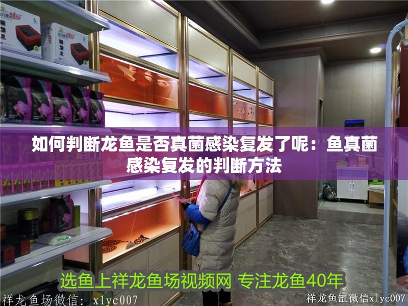 如何判斷龍魚是否真菌感染復發了呢：魚真菌感染復發的判斷方法