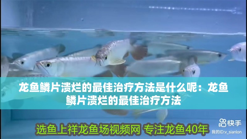 龍魚鱗片潰爛的最佳治療方法是什么呢：龍魚鱗片潰爛的最佳治療方法