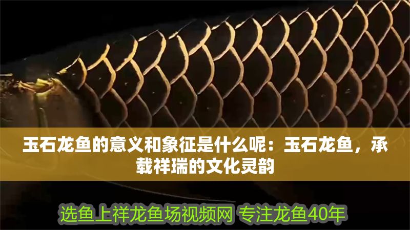 玉石龍魚的意義和象征是什么呢：玉石龍魚，承載祥瑞的文化靈韻