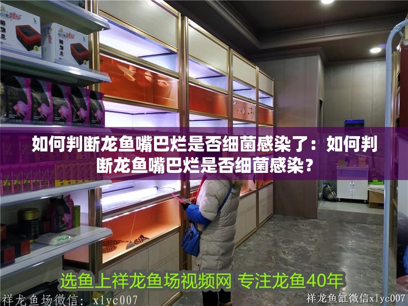 如何判斷龍魚嘴巴爛是否細菌感染了：如何判斷龍魚嘴巴爛是否細菌感染？