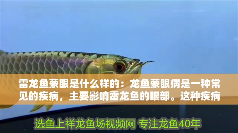 雷龍魚蒙眼是什么樣的：龍魚蒙眼病是一種常見的疾病，主要影響雷龍魚的眼部。這種疾病的癥狀包括眼睛紅腫、流淚、視力下降等。如果不及時治療，可能會導致雷龍魚失明。因此，了解雷龍魚蒙眼病的癥狀對于養魚愛好者來說非常重要