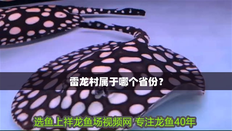 雷龍村屬于哪個省份？