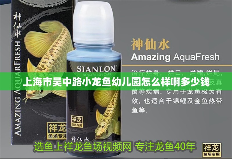 上海市吳中路小龍魚幼兒園怎么樣啊多少錢