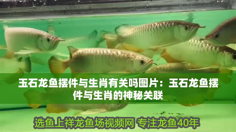 玉石龍魚擺件與生肖有關嗎圖片：玉石龍魚擺件與生肖的神秘關聯