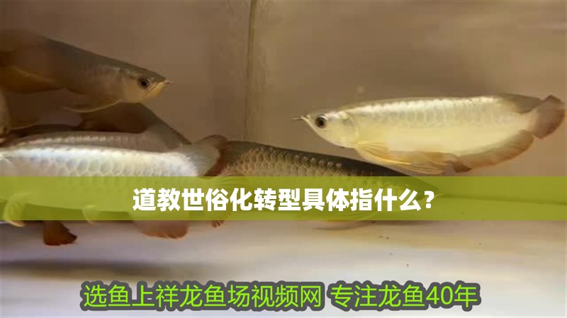 道教世俗化轉型具體指什么？ 道教世俗化轉型具體指什么？ 龍魚百科