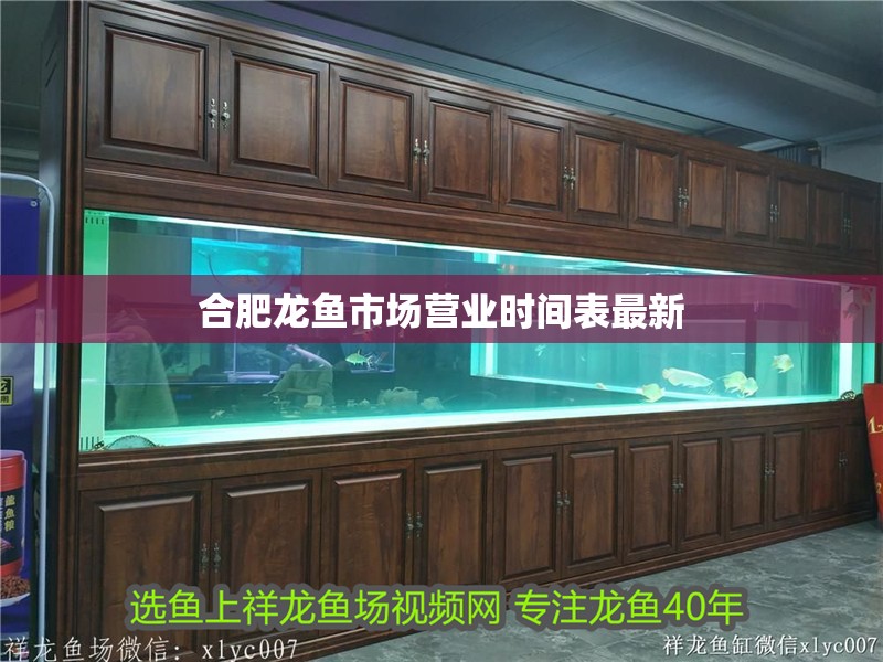 合肥龍魚市場營業時間表最新